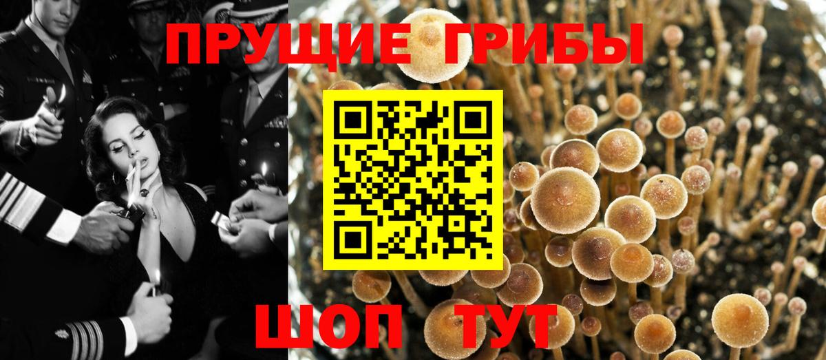 Отрадное  Псилоцибиновые грибы мухоморы  Вход с VPN 