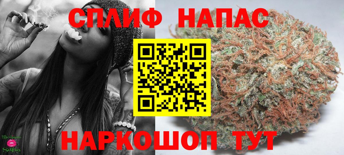 Конопля семена Отрадное